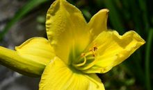 未来20天天降钞票雨，贵人喜盈门的生肖，横财大发，家财赚百万