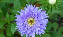 9月运势越来越好，身边机会不断，贵人多助，财运大旺的四属相