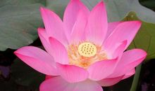 这3生肖春风得意，咸鱼翻身，未来一个月事业蒸蒸日上，富贵多金