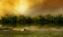 青衣（月运）12星座11月运势：水逆来了