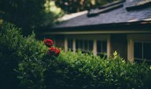 太矜持了，哪几个生肖的女生很难追，你追到手看吗？