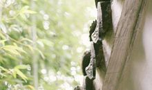 一个人的时候特别高傲，在感情里却变得卑微的星座！