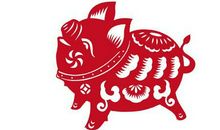 属猪人2020年运势及运程