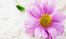 魅力与气质随着年龄增长而提升，异性缘非常好的三大生肖女！