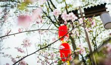 爱情中，这三个星座从不强势，更没有什么套路，但总占据着主动权