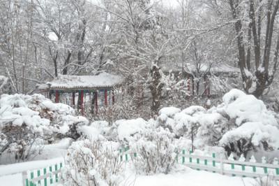 梦见大雪纷飞是什么意思，可能会患病或家庭有财务危机