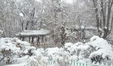 梦见大雪纷飞是什么意思，可能会患病或家庭有财务危机