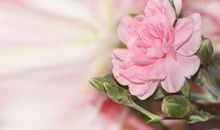 从下周开始天官赐福，财星入库，生活无忧，富贵享不尽的3大生肖