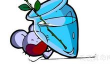 水瓶座2019年全年运势解析(警惕小人)