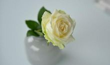 工作节奏好，好运层出不穷的生肖