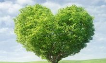 十二生肖2019年12月1日运气：属鼠人花钱多，属虎人投资有酬报