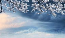 青衣（周运）12星座一周运势（10.21-10.27）