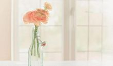 异性缘最好的三大生肖女，男生的理想型！