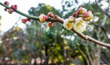 最懂人情味的3个属相，婚后日子无比自在！令人羡慕