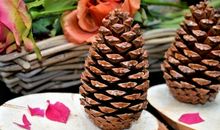 2020年改变自己，找到成功之路，硕果累累的星座