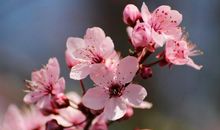 十二生肖中，3生肖在下半年，钞票如雨下不停，腰包满满不差钱！