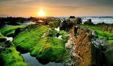 喜运财运齐登门！30天里添丁添财，好运不断，运势一路飙涨生肖