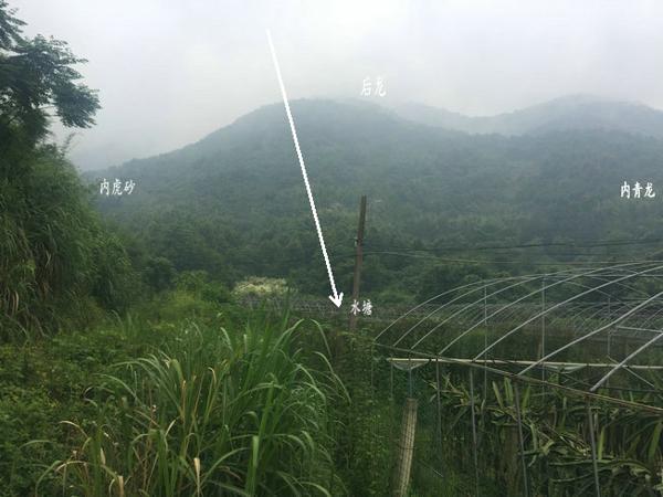 风水案例：风水大师王君植湖南看风水金星宝地，长沙衡阳风水培训弟子随师学习