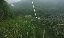 风水案例：风水大师王君植湖南看风水金星宝地，长沙衡阳风水培训弟子随师学习