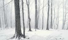 9月霉运一扫而空，吉星高照有财禄，人生见曙光的3生肖