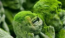 十二星座中，逆商爆表，实力越来越强