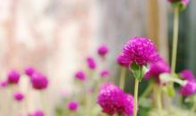 和前任冰释前嫌，有望再次携手的三大星座，重新开始！