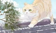 塔罗牌占卜：心里默念一个人的名字，看Ta有多喜欢你？