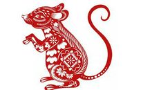 属鼠人2020年运势及运程