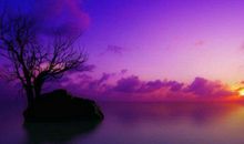 这一种生肖人，中年后期，赚钱轻松