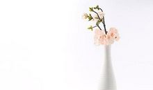 十二生肖中，这三大生肖女最旺夫，适合娶回家宠着，越宠越富贵