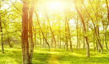 2019年农历七月孩子哪天出生好 农历七月生的猪宝宝好吗？(图文)