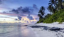 王者气势，一般人无法驾驭，盛气凌人的三大星座！