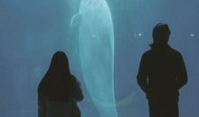 最不适合在一起的三对星座，气场不合，难以白首