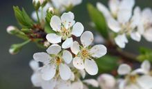 追这三个星座，光是热情没用，用真情去触动他们！