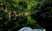 这三大生肖是天生的投资者，他们出手稳赚不赔