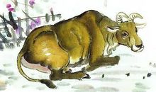 第二次恋爱才能圆满的3个生肖，错一次，对一生，幸福不会太晚来