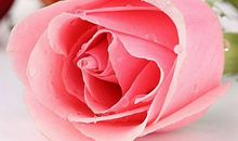 天生能帮夫发财、大富大贵的生肖女，男人娶进门，不得不越来越富