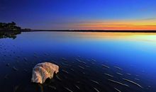 外表越单纯，内心越沧桑的三大星座，看似普普通通，实则阅历太深