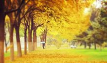 秋季家居风水学