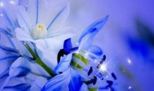 11月中旬起左手聚宝盆，右手发横财的生肖，以后一天比一天有钱