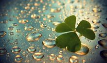 最有女人味的三大生肖女！最让人着迷，最让男人疼爱！