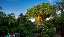 8月27日开始，好运扎堆，富贵难挡，钞票堆成山，一夜暴富的3生肖