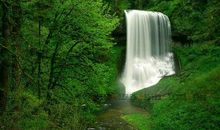 8月27日开始，横财入宅，大奖不断滚滚来，富贵挡不住的3生肖