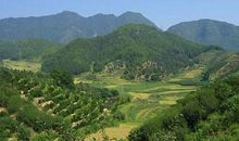 商品房如何看风水?商品房什么座向风水好?