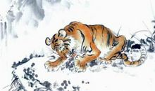 属虎和什么属相配比较好，与虎白头偕老的生肖有哪些