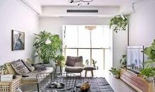 客厅植物摆放风水有哪些，植物摆放风水禁忌说明