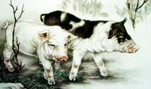 一辈子没啥大财，难以一夜暴富的3生肖，但比上不足，比下有余