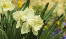 有“直男癌”的三生肖，不怎么会讲话，从来不会哄老婆