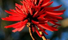 2019年事业旺，财运多，生活非常幸福的生肖，注定让人羡慕