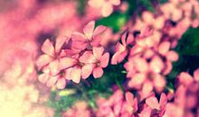 未来三十天运势大旺，钱财赚不停，富贵享不尽，好运相伴的3大生肖